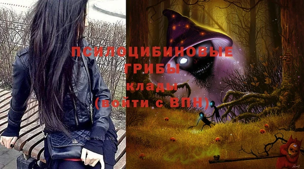 прущие крисы Беломорск