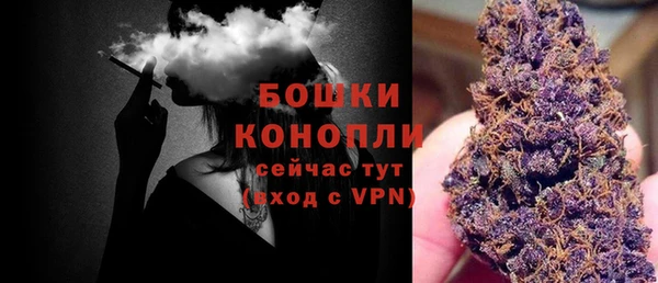 молекула духа Белоозёрский