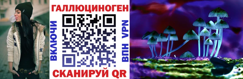 Галлюциногенные грибы Magic Shrooms  Салаир 